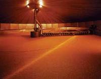 kiln control grain germination